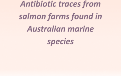 Antibiotic traces from salmon farms found in Australian marine species