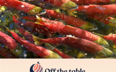 Ottawa’s renewed salmon funding spawns both hope and skepticism