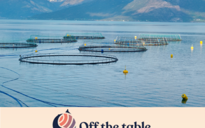 Canadian First Nations leaders urge government to protect wild salmon in British Columbia