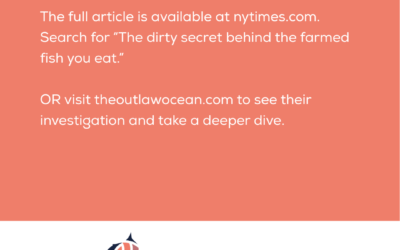 The dirty secret behind the farmed fish you eat